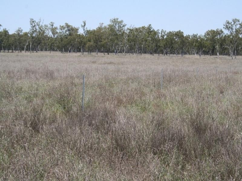 0 Coleraine Road, Mitchell QLD 4465