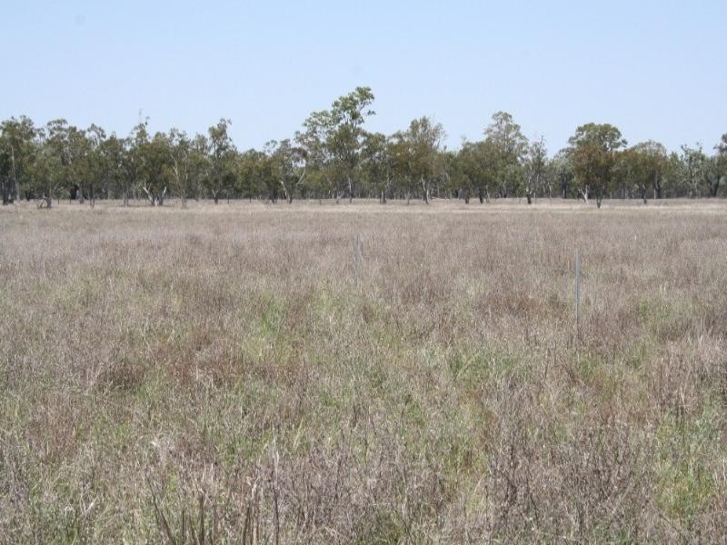 0 Coleraine Road, Mitchell QLD 4465