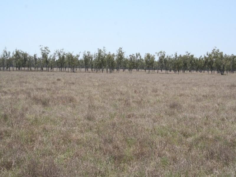 0 Coleraine Road, Mitchell QLD 4465