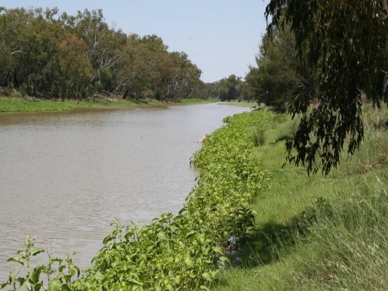 0 Coleraine Road, Mitchell QLD 4465