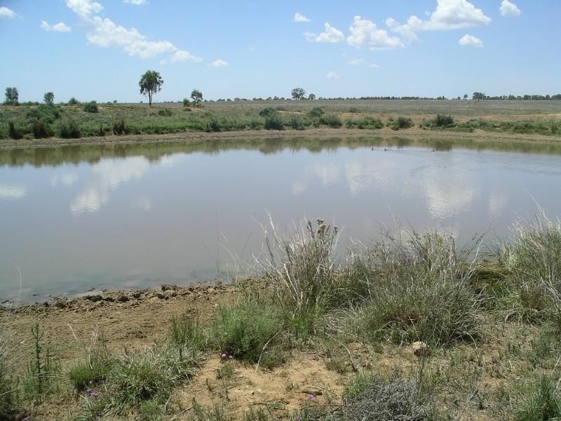 Roma QLD 4455