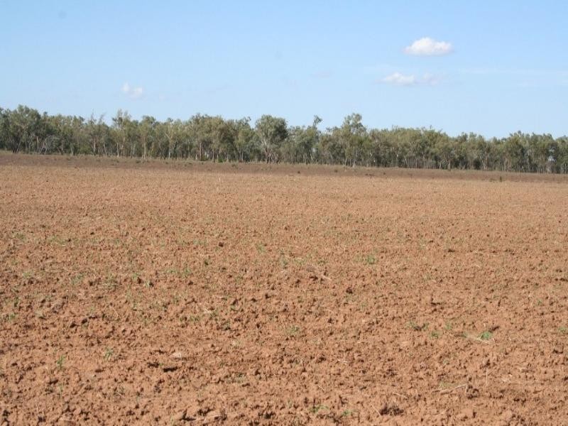 Roma QLD 4455