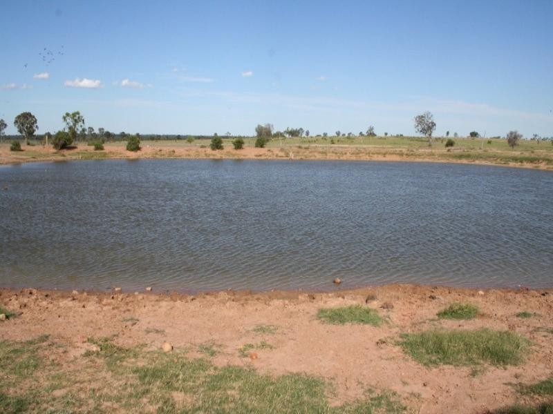 Roma QLD 4455