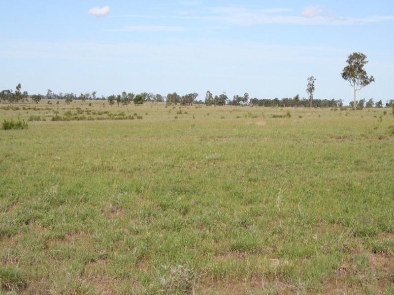 Roma QLD 4455