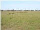 Roma QLD 4455