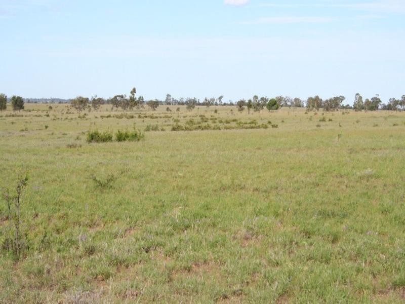 Roma QLD 4455