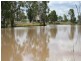 Dulacca QLD 4425