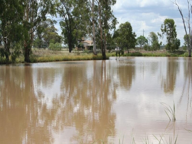 Dulacca QLD 4425