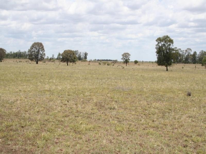 Dulacca QLD 4425