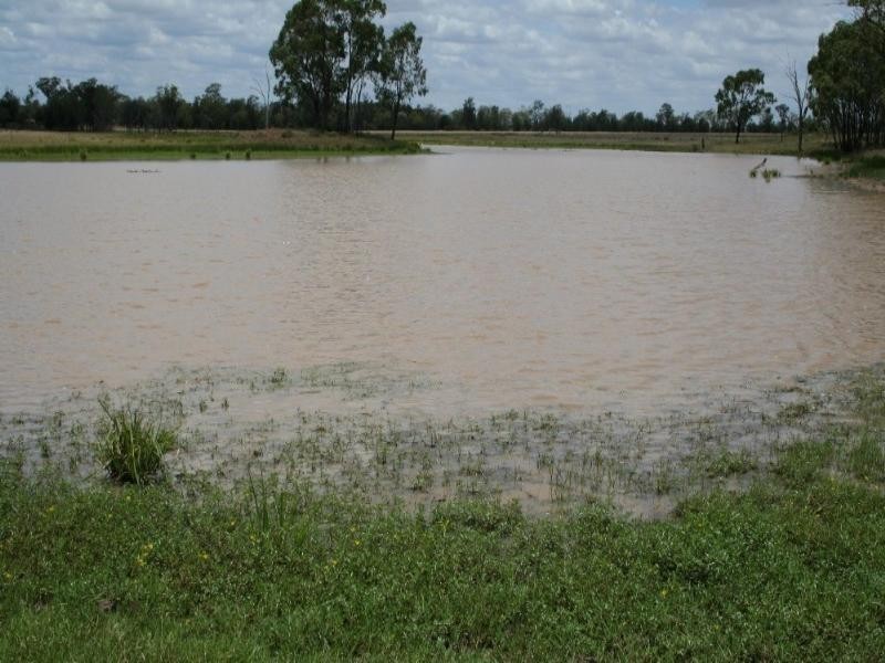 Dulacca QLD 4425