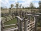 Dulacca QLD 4425