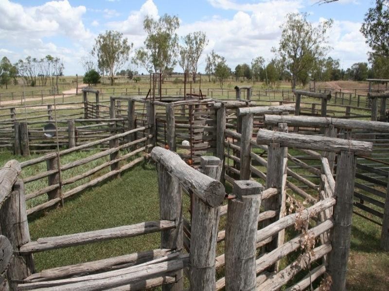 Dulacca QLD 4425