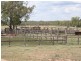Dulacca QLD 4425