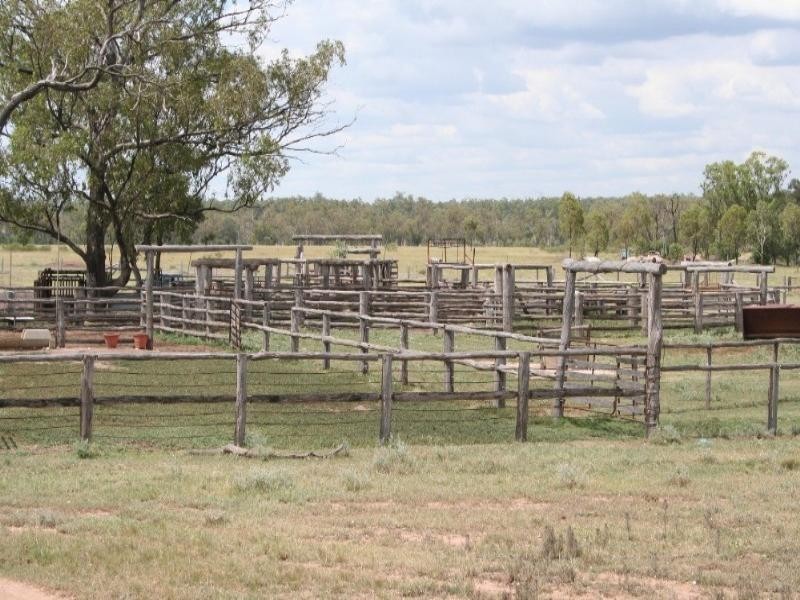 Dulacca QLD 4425