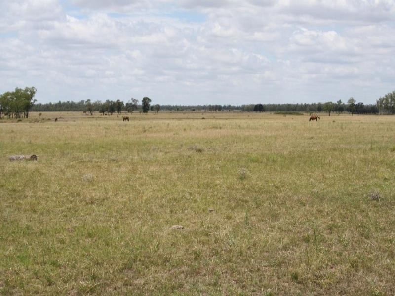 Dulacca QLD 4425
