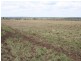 Dulacca QLD 4425