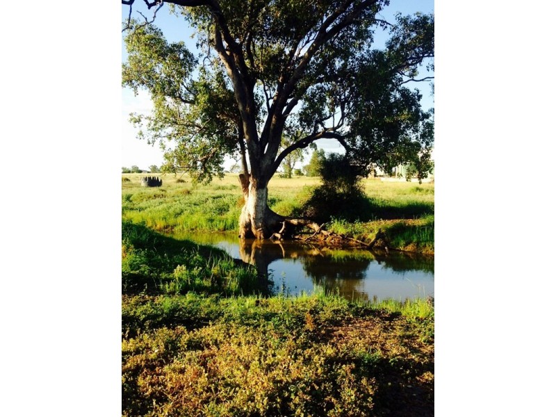 214 Bourne Drive, Roma QLD 4455