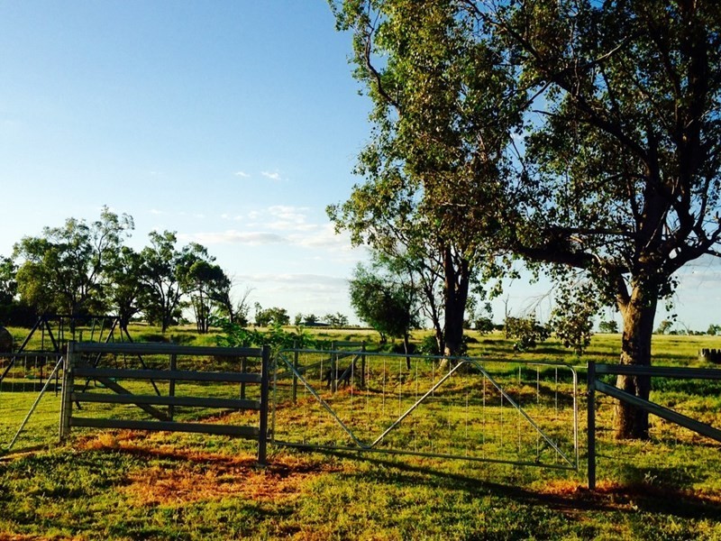 214 Bourne Drive, Roma QLD 4455