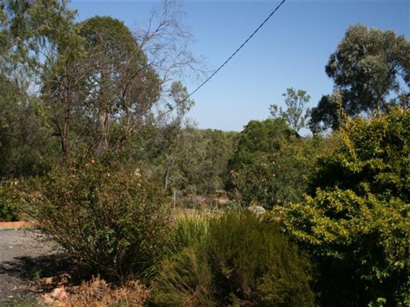 64 Roslyn Drive, Roma QLD 4455