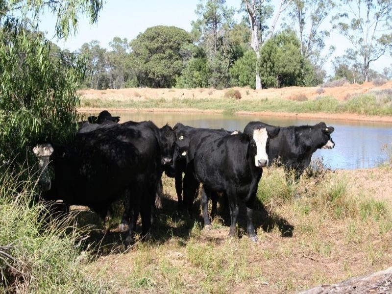 0 Roma Taroom Road, Roma QLD 4455