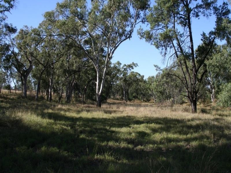 0 Roma Taroom Road, Roma QLD 4455