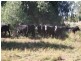 0 Roma Taroom Road, Roma QLD 4455