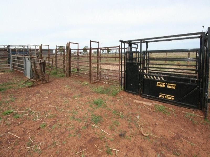 0 Maranoa District, Mitchell QLD 4465