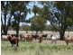 0 Maranoa District, Mitchell QLD 4465