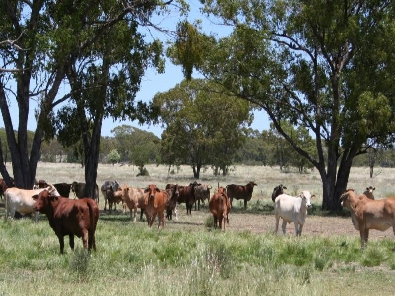 0 Maranoa District, Mitchell QLD 4465