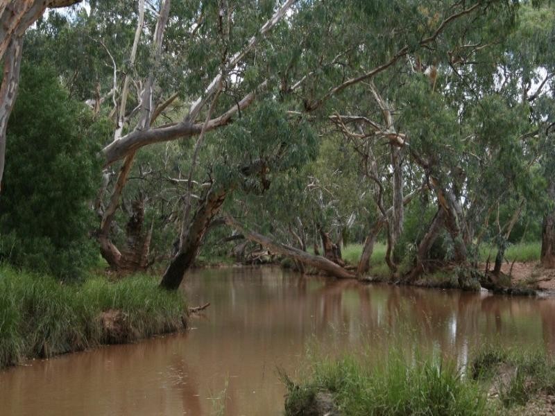 0 Maranoa District, Mitchell QLD 4465