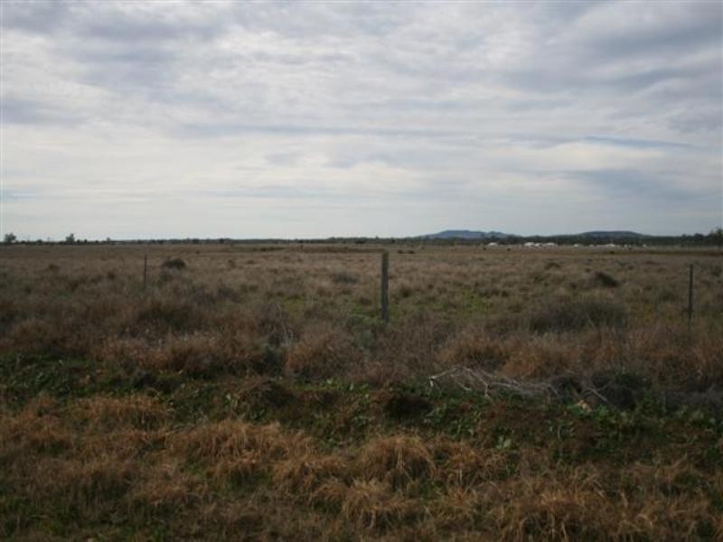 334 Bassett Lane, Roma QLD 4455