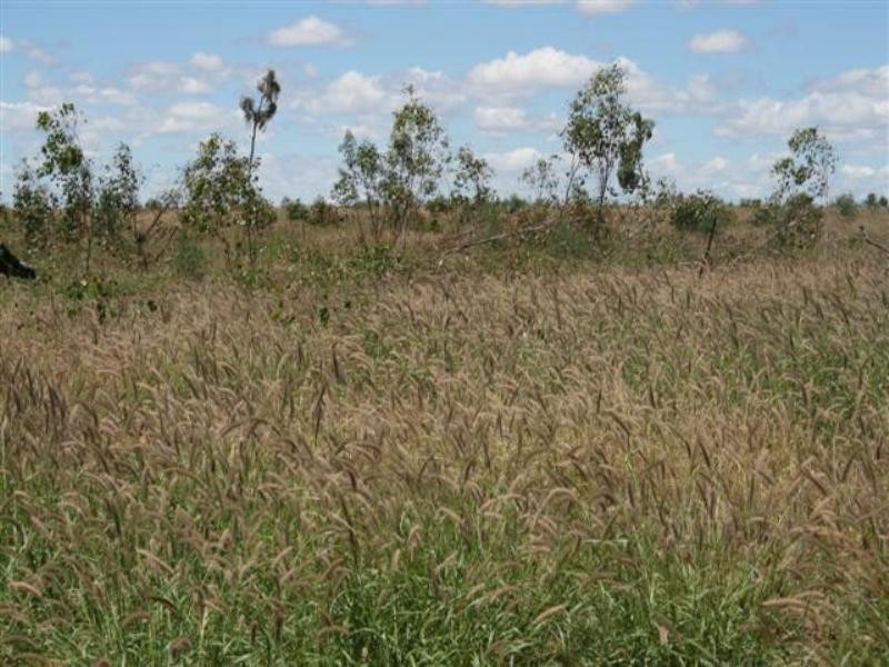 1 Albany Downs Road, Mitchell QLD 4465