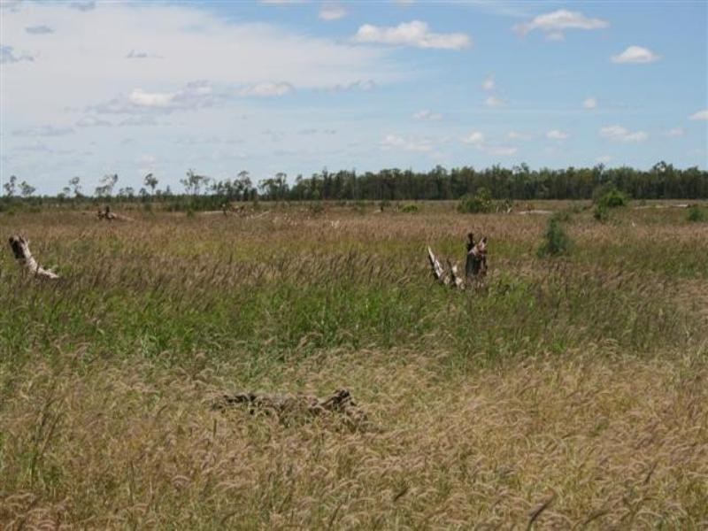 1 Albany Downs Road, Mitchell QLD 4465