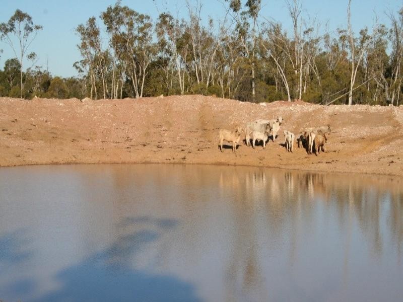 1 Albany Downs Road, Mitchell QLD 4465