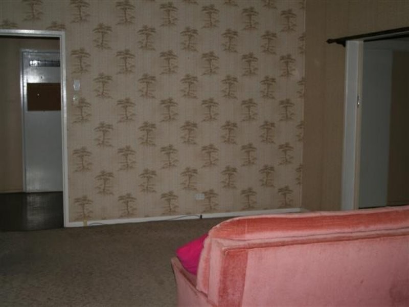 113 Wyndham Street, Roma QLD 4455