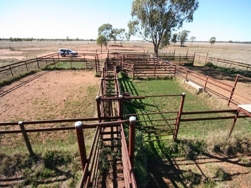 0 Wallumbilla South Road, Wallumbilla QLD 4428