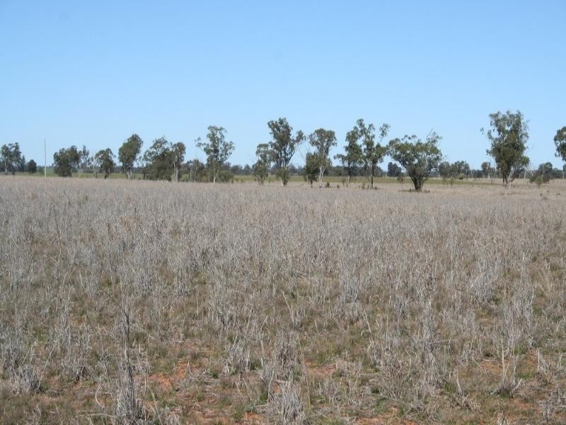 0 Wallumbilla South Road, Wallumbilla QLD 4428