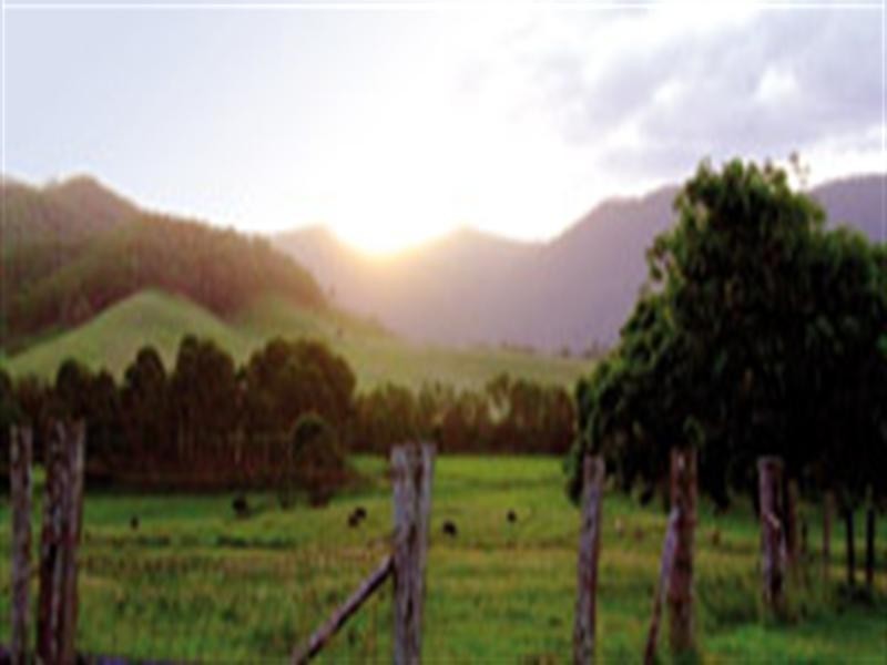 Lot 4 White Road, Roma QLD 4455