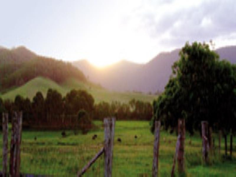 0 Roma-Taroom Road, Roma QLD 4455