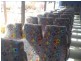 EUMAMURRIN BUS Run, Roma QLD 4455