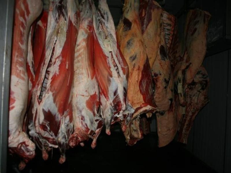 0 Chappell Lane, Roma QLD 4455