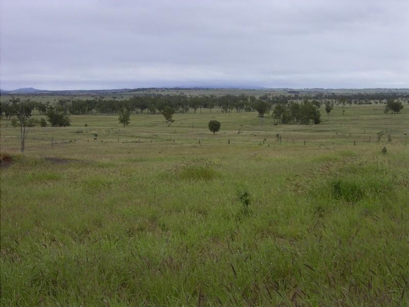 6893 Oralla Road, Injune QLD 4454