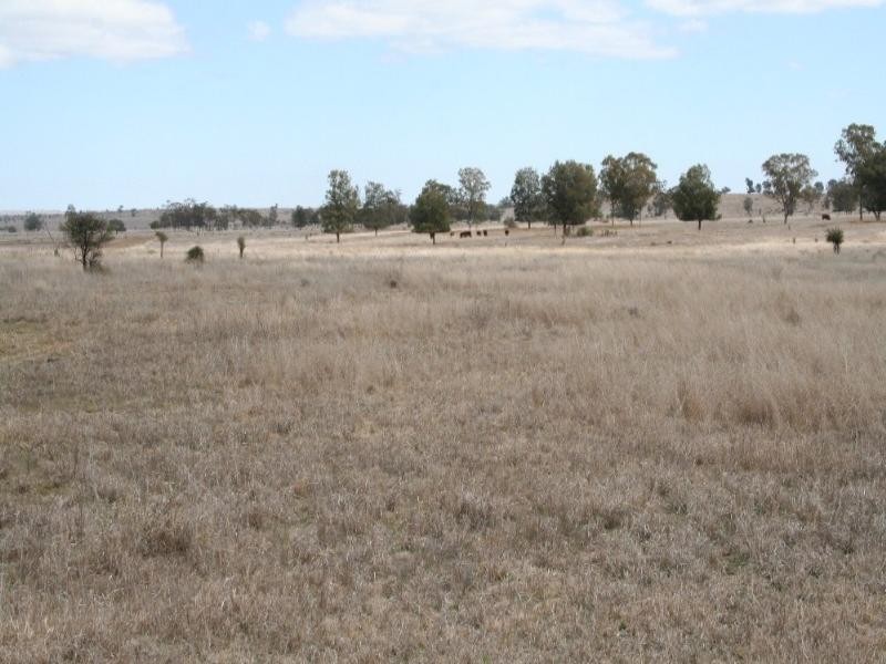 6893 Oralla Road, Injune QLD 4454