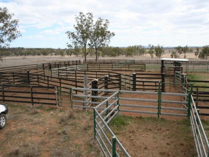 6893 Oralla Road, Injune QLD 4454