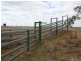 6893 Oralla Road, Injune QLD 4454