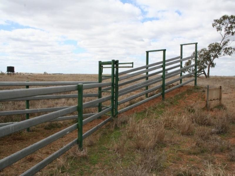 6893 Oralla Road, Injune QLD 4454