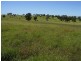 6893 Oralla Road, Injune QLD 4454