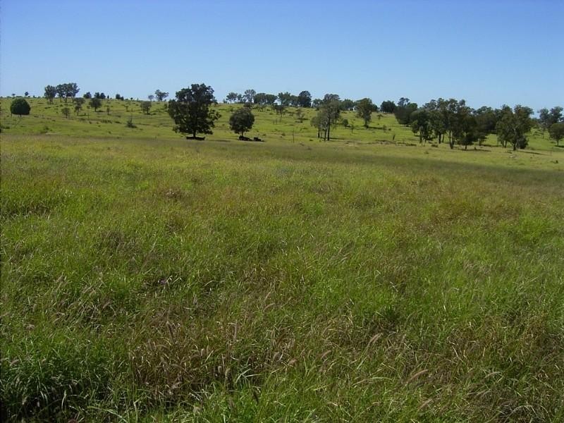 6893 Oralla Road, Injune QLD 4454