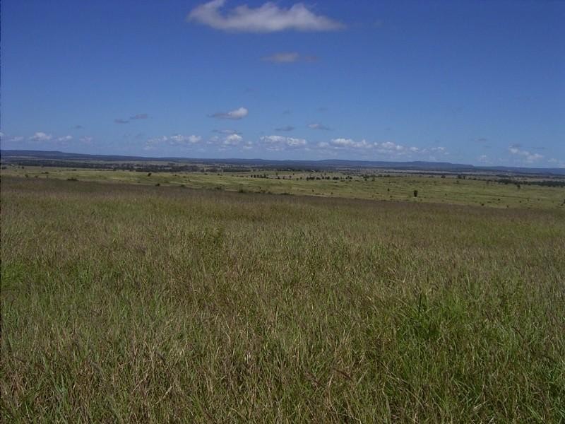 6893 Oralla Road, Injune QLD 4454