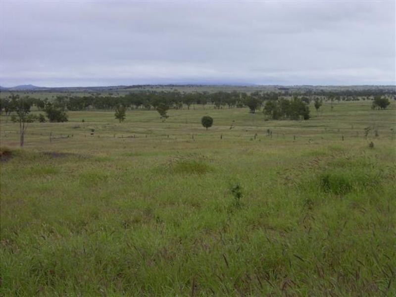 6893 Oralla Road, Injune QLD 4454